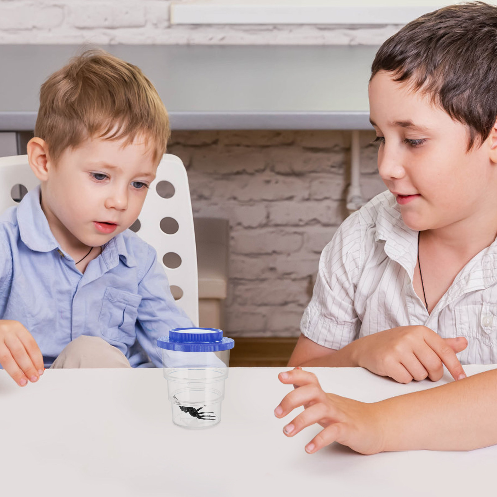 Science Toy - Insectenobservatiebox met drie compartimenten, verstelbare vergrootglas,