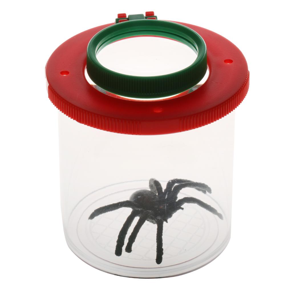 Plastic vergrootglas, insecten - Science Nursery recensie en prijs
