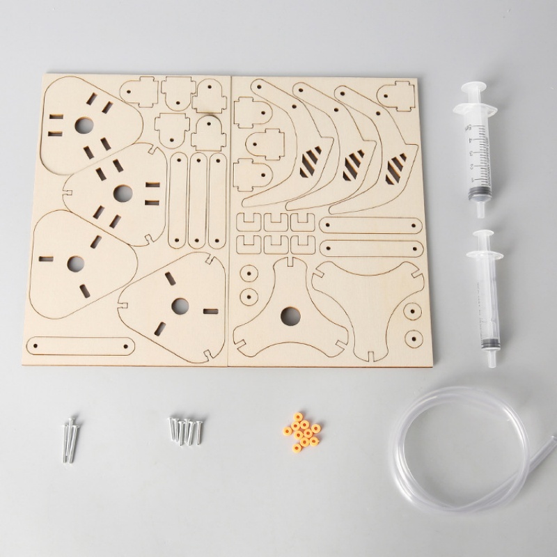 DIY STEM zuiger hydraulische m - Science Diy Model recensie en prijs